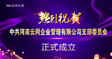 喜讯！云网集团党支部正式成立！