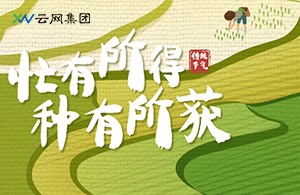 芒种时节，云网人以耕耘赴未来